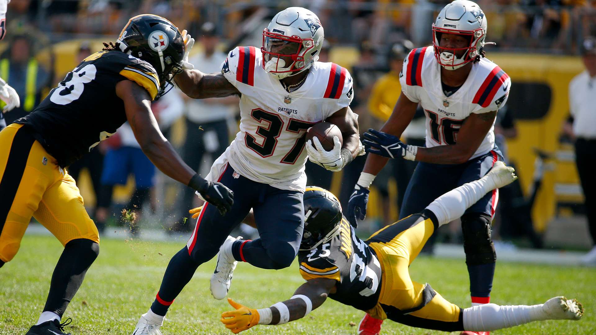 易无疑吸引 易无疑吸引