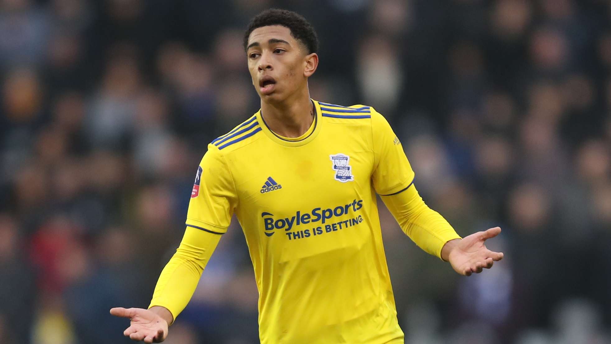 他们将面对 他们将面对