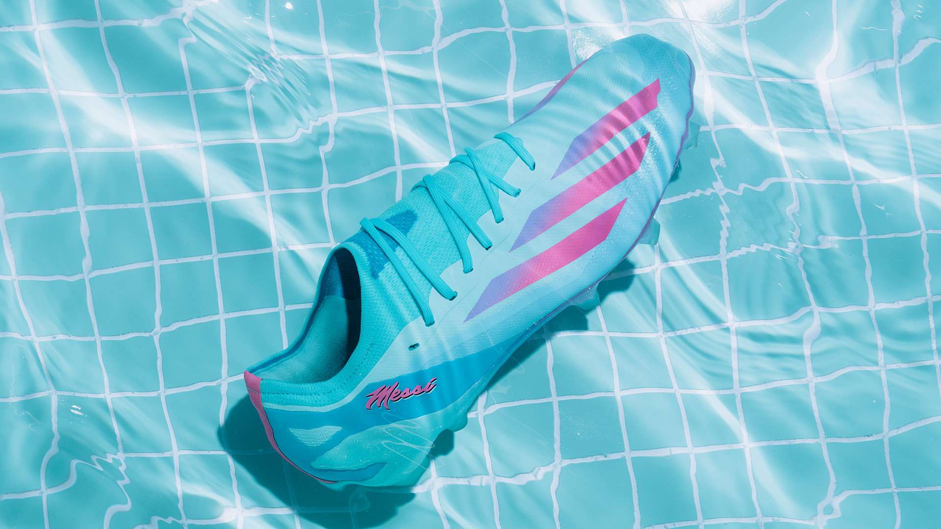 他的到来不 他的到来不