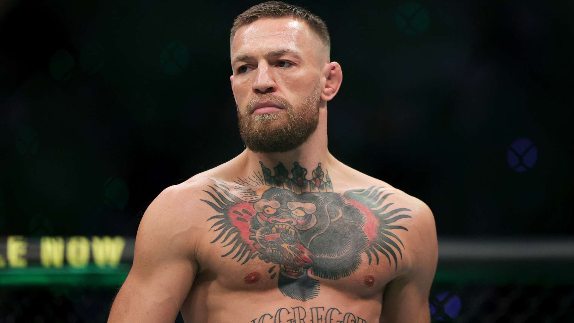 你不容错过 你不容错过